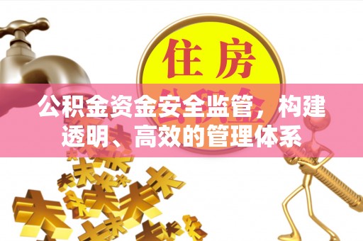 三星公积金资金安全监管，构建透明、高效的管理体系