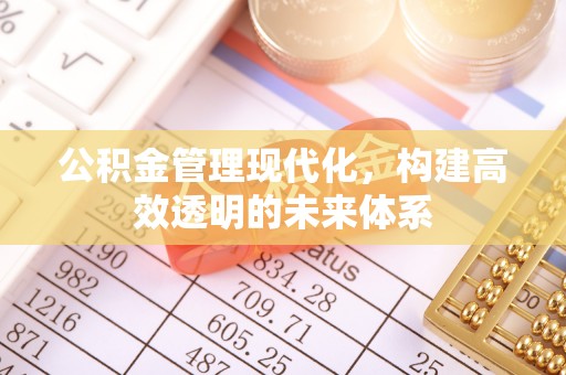 三星公积金管理现代化，构建高效透明的未来体系