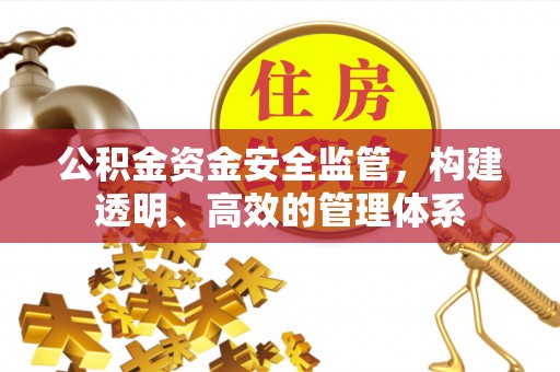 三星公积金资金安全监管，构建透明、高效的管理体系