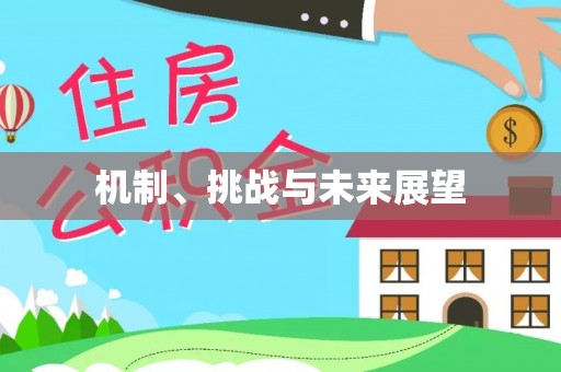三星机制、挑战与未来展望