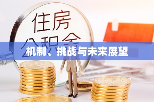 三星机制、挑战与未来展望